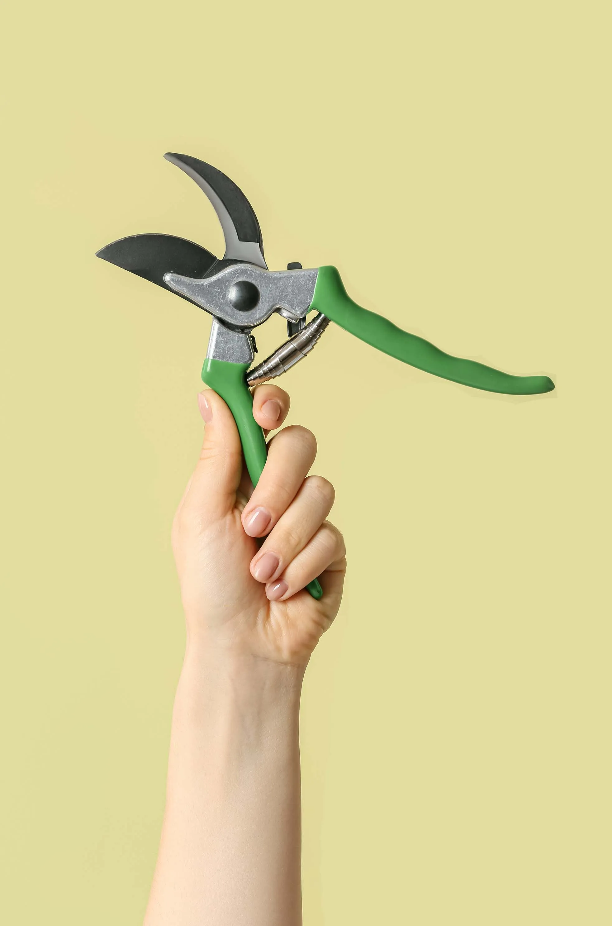 A hand holding garden shears